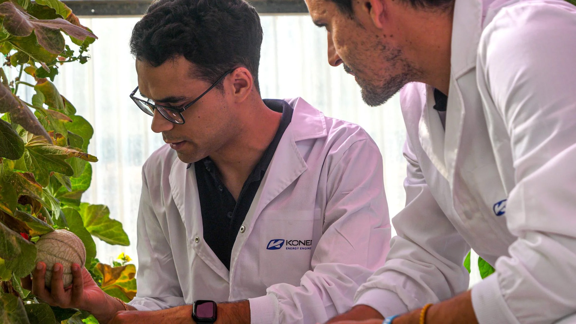 INVESTIGACION-Y-DESARROLLO-AGROVOLTAICA-konery-7