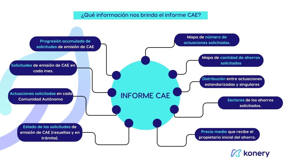 ¿Qué información nos brinda el informe CAE?