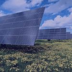 paneles solares en medio de flores en primavera