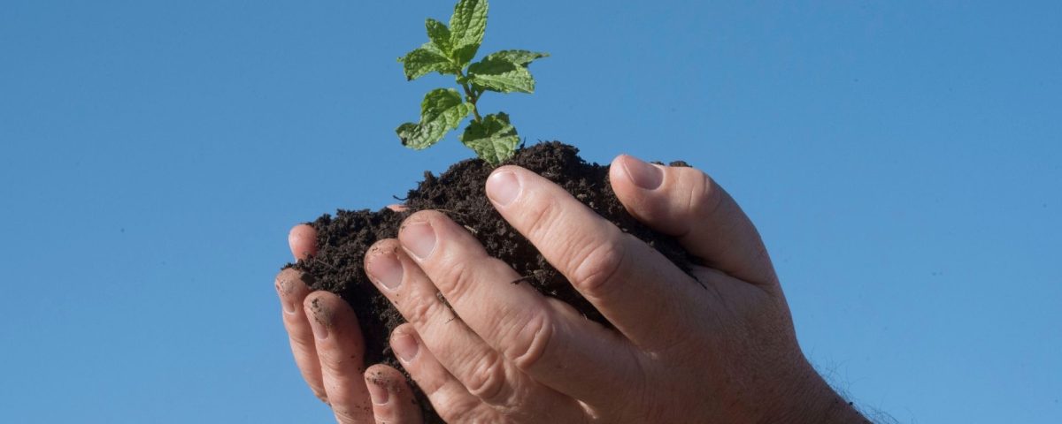 imagen sobre noticia de explotaciones agrarias podrán contratar dos potencias eléctricas al año gracias a la Ley 1/2025