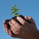 imagen sobre noticia de explotaciones agrarias podrán contratar dos potencias eléctricas al año gracias a la Ley 1/2025