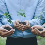 imagen del blog de Estrategia regional para la transición: Murcia coordina su apoyo a comunidades energéticas