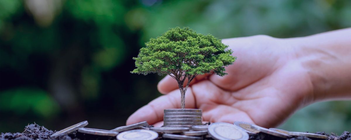 Consultoría técnica para huella de carbono en pymes con ayudas del Cheque Sostenibilidad en Murcia