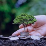 Consultoría técnica para huella de carbono en pymes con ayudas del Cheque Sostenibilidad en Murcia