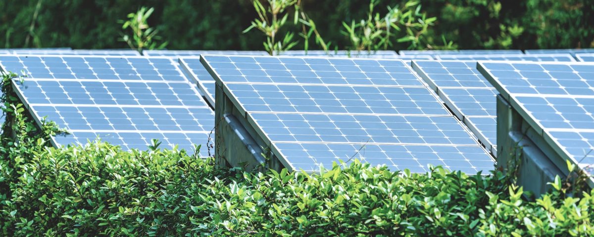 programa Renocicla 2025, enfocado en reciclaje y reutilización de equipos renovables como paneles solares y aerogeneradores, dentro del marco del Plan de Recuperación y RePowerEU