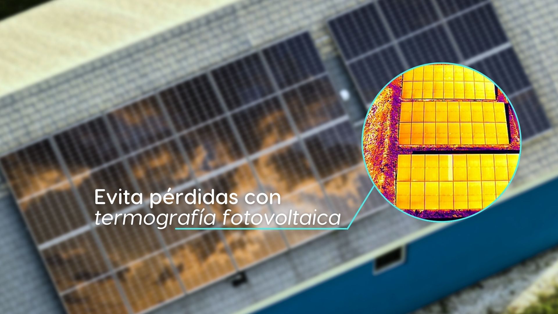 Inspección termográfica de paneles solares mediante dron en una instalación fotovoltaica industrial