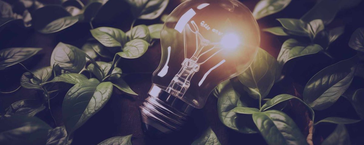 dia mundial del ahorro de energia 2025