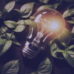 dia mundial del ahorro de energia 2025