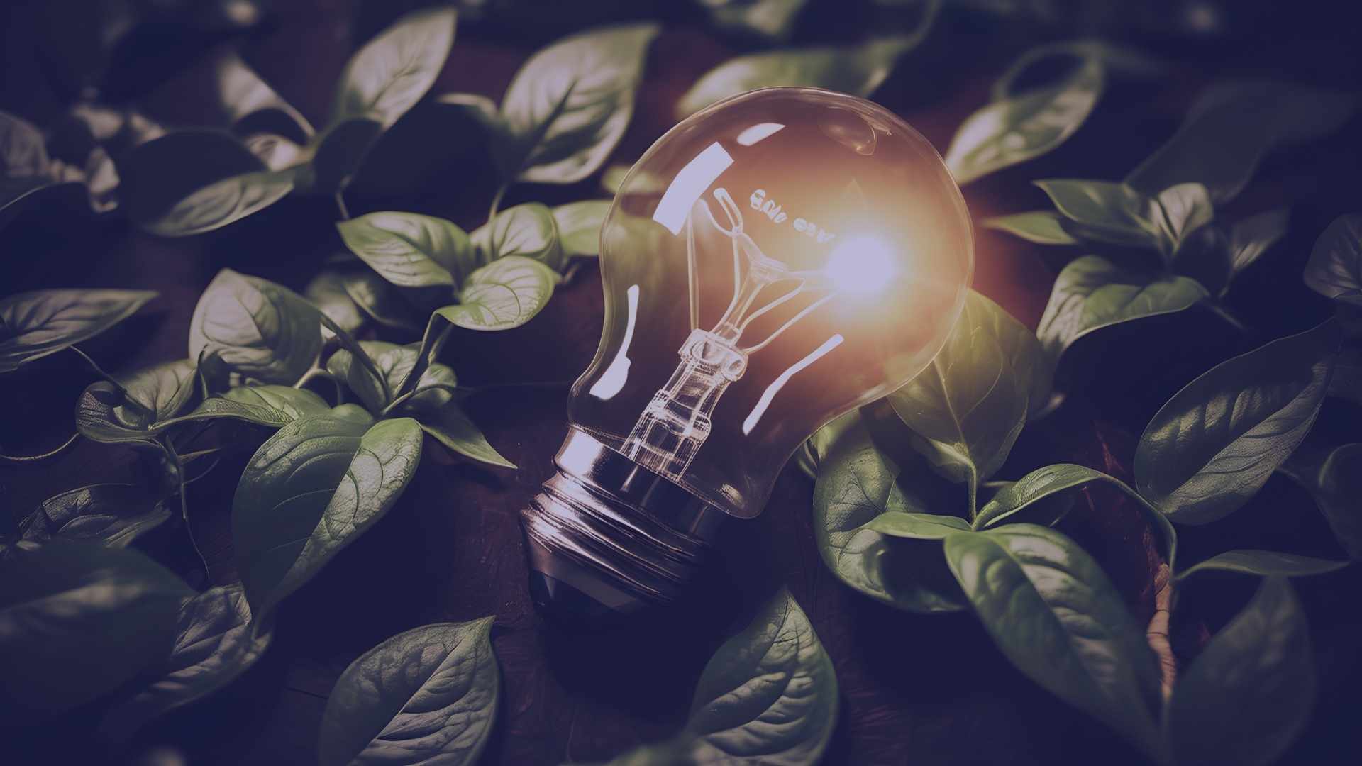 dia mundial del ahorro de energia 2025