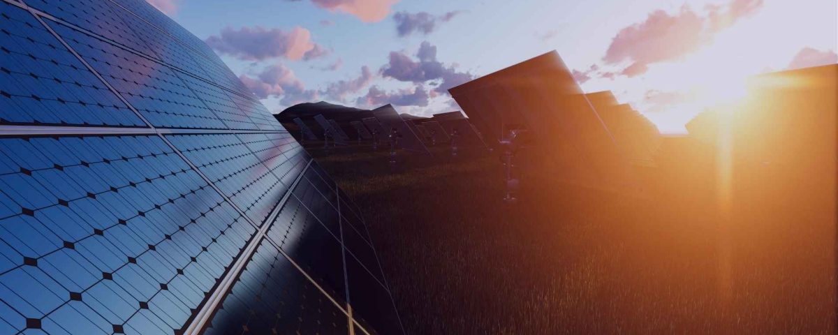 Paneles solares bifaciales instalados en campo abierto, captando luz por ambas caras para maximizar la produccinn energetica