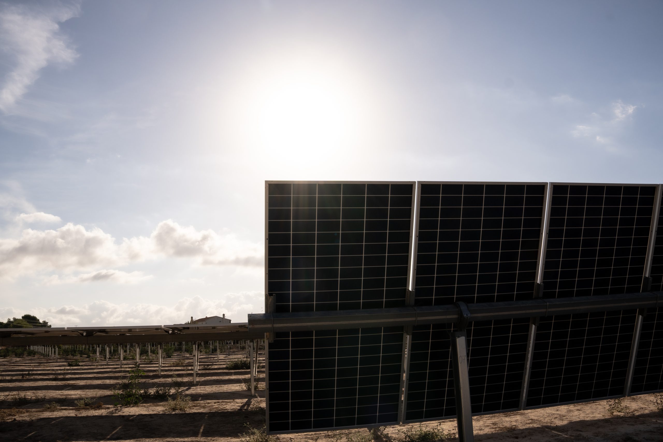 primer huerto solar de konery en elche