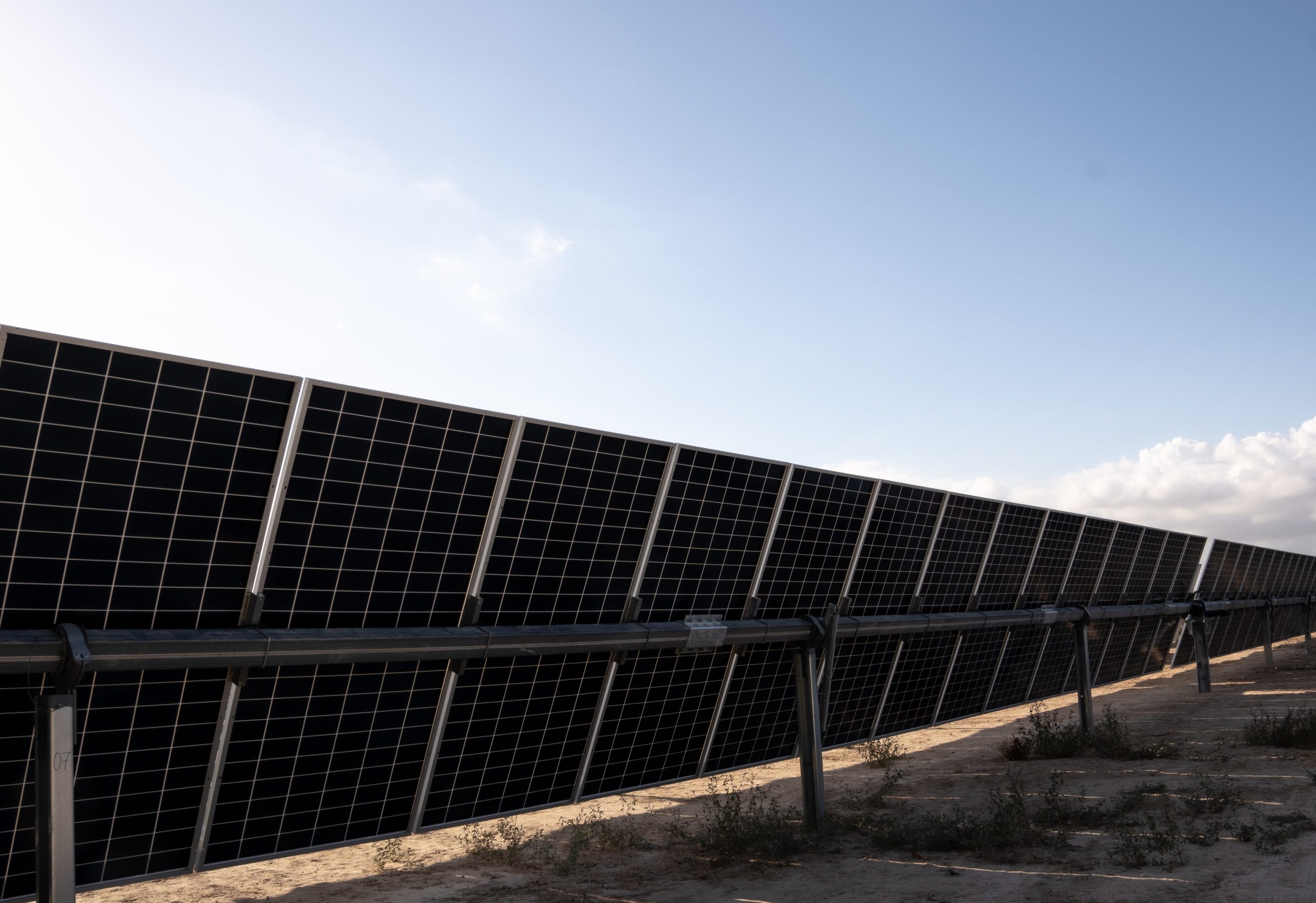 primer huerto solar de konery en elche