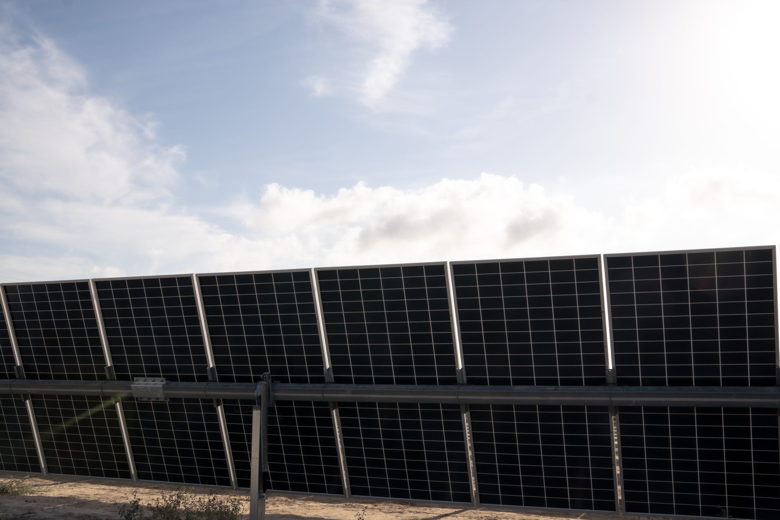 primer huerto solar de konery en elche