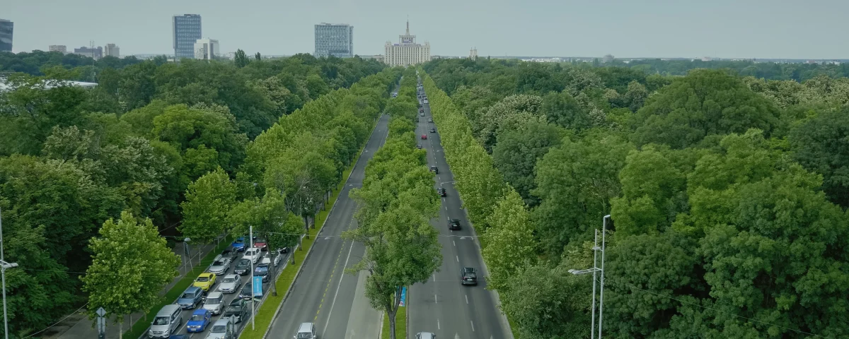 Descarbonización del transporte en España con movilidad eléctrica y combustibles renovables