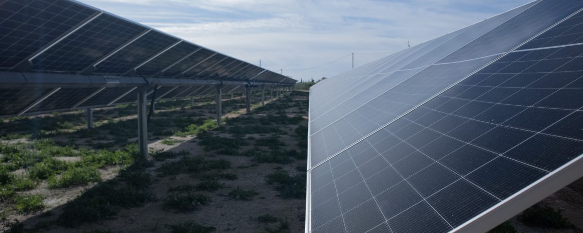 Paneles solares fotovoltaicos generando electricidad durante las horas de mayor radiación solar en España.