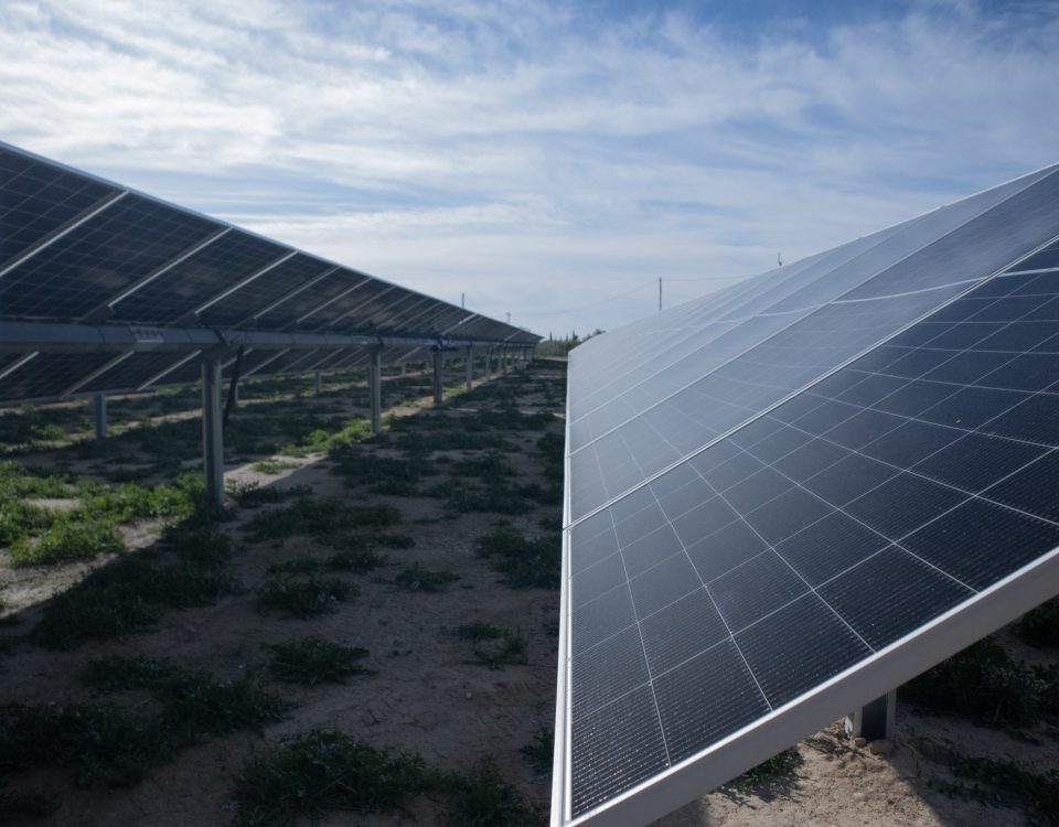Paneles solares fotovoltaicos generando electricidad durante las horas de mayor radiación solar en España.