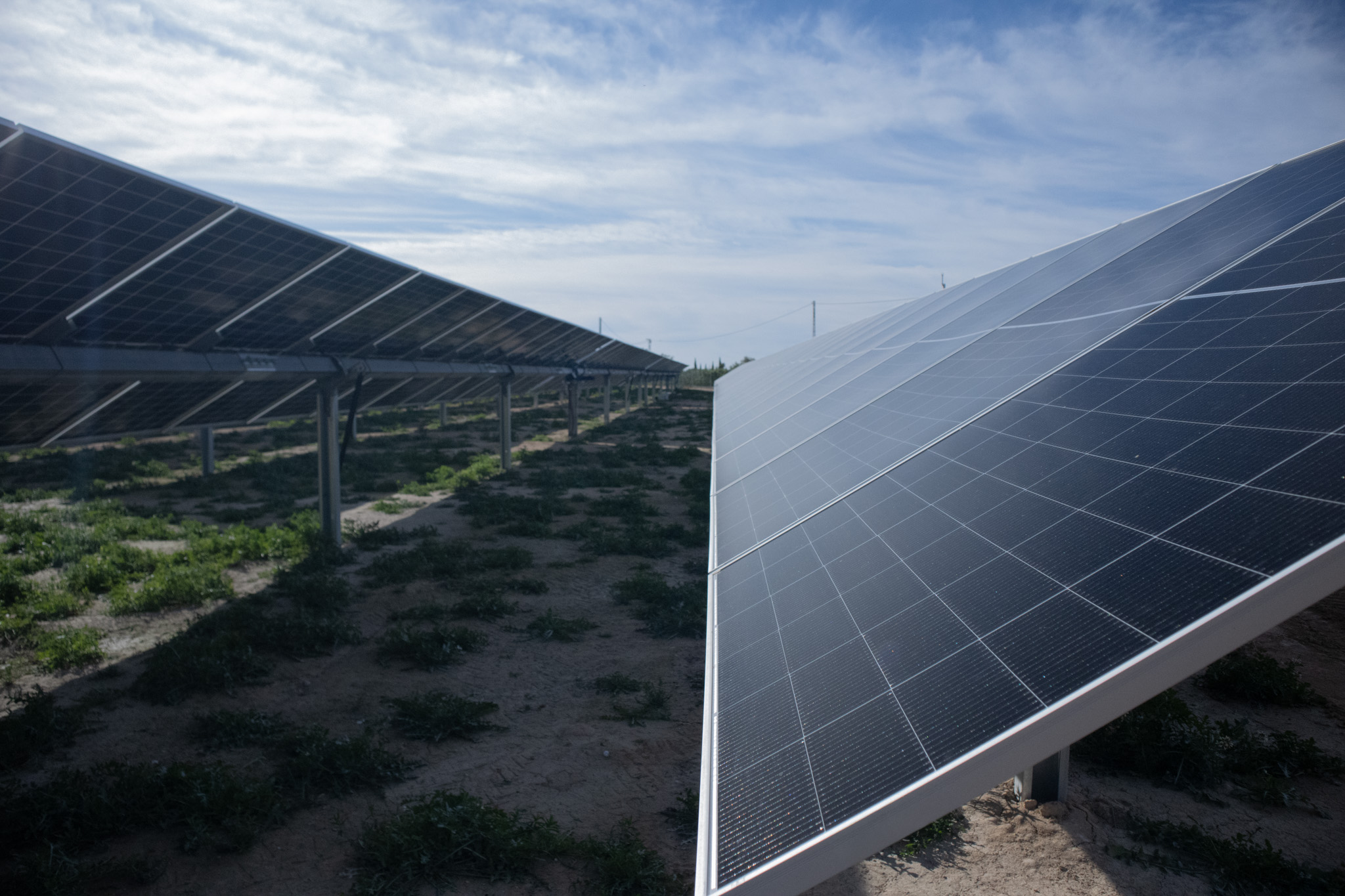 Paneles solares fotovoltaicos generando electricidad durante las horas de mayor radiación solar en España.